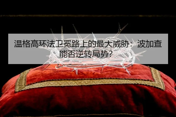 wen-ge-gao-huan-fa-wei-mian-lu-shang-de-zui-da-wei-xie-bo-jia-cha-neng-fou-ni-zhuan-ju-shi-2-322.jpg