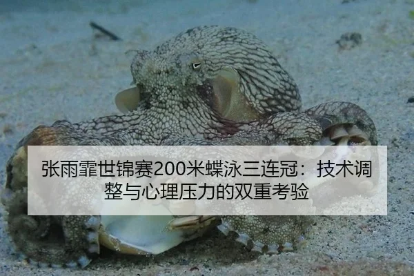张雨霏世锦赛200米蝶泳三连冠：技术调整与心理压力的双重考验